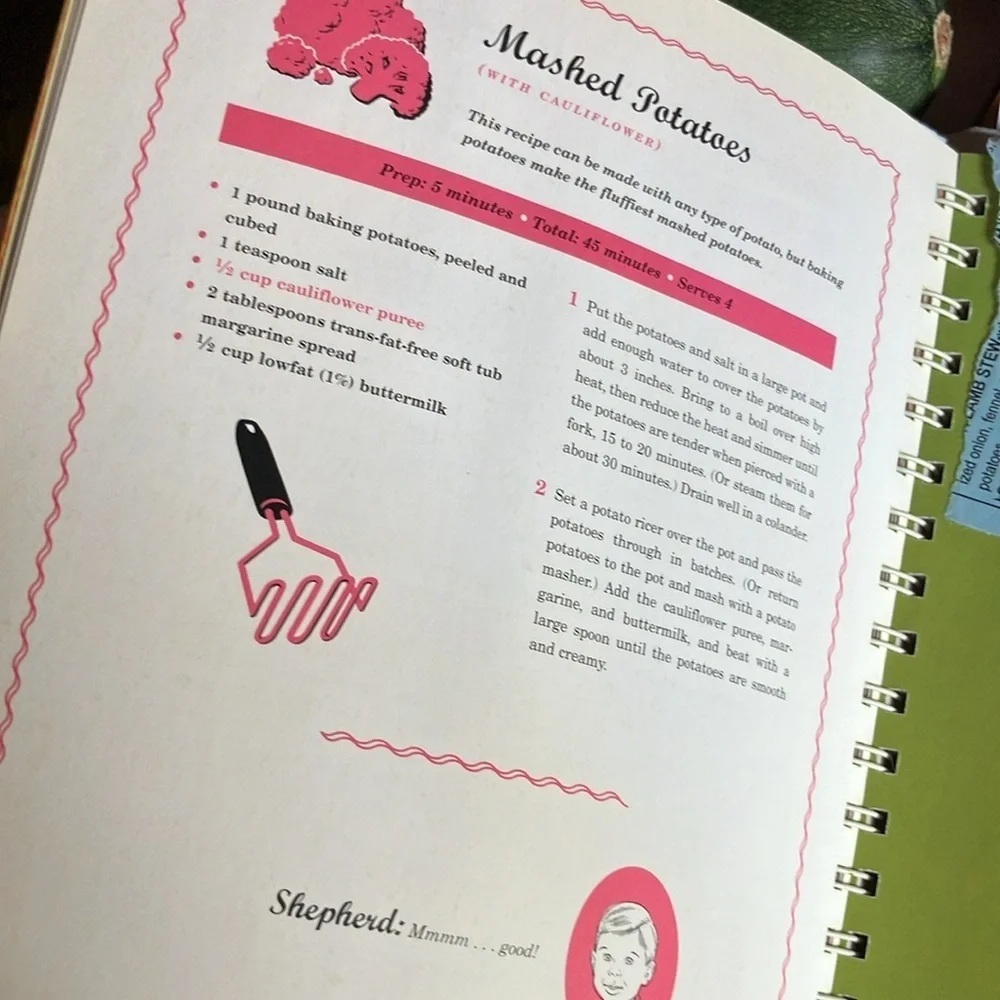 Deceptively Delicious Cookbook by Jessica Seinfeld -  2007 1st edition spiral